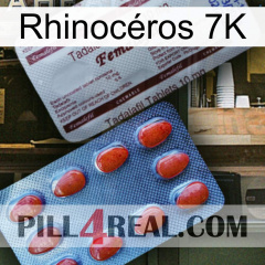 Rhinocéros 7K 36